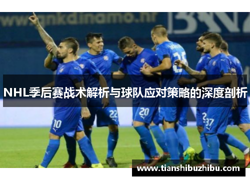 NHL季后赛战术解析与球队应对策略的深度剖析