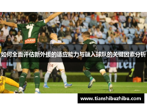 如何全面评估新外援的适应能力与融入球队的关键因素分析