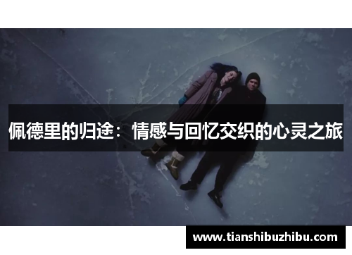 佩德里的归途：情感与回忆交织的心灵之旅