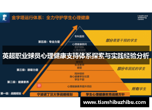 英超职业球员心理健康支持体系探索与实践经验分析